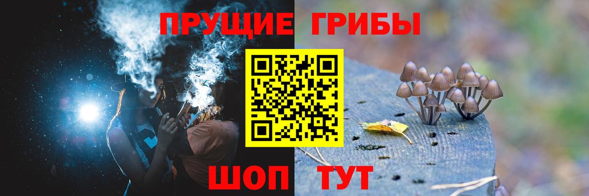 Конаково  Псилоцибиновые грибы Cubensis  Вход с VPN 